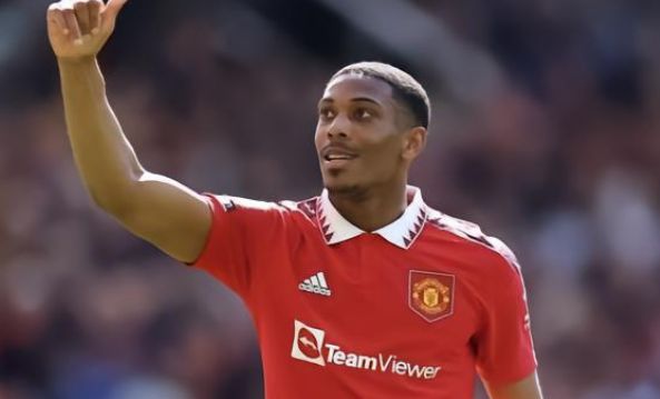 的悉心指導 的悉心指導